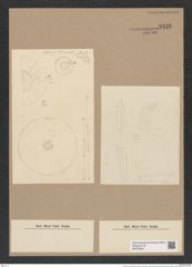 Hyalodiscus subtilis Bail. (de-Toni-Nr.: Genus 219, Species 5494) Zeichnungen Sammlung Grunow Nr. 9426 (NHMW-BOT-W0379280)